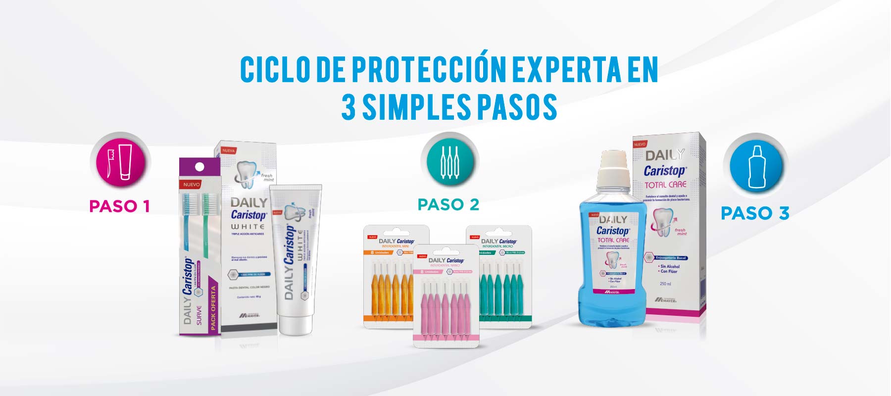 ciclo de proteccion experta